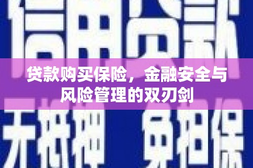 志丹贷款购买保险，金融安全与风险管理的双刃剑
