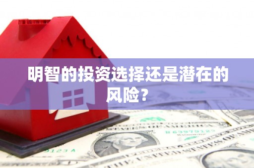 志丹明智的投资选择还是潜在的风险？