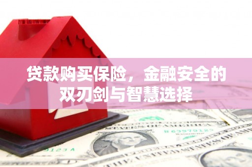 志丹贷款购买保险，金融安全的双刃剑与智慧选择