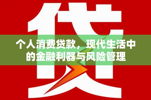志丹个人消费贷款，现代生活中的金融利器与风险管理