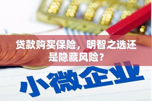 志丹贷款购买保险，明智之选还是隐藏风险？