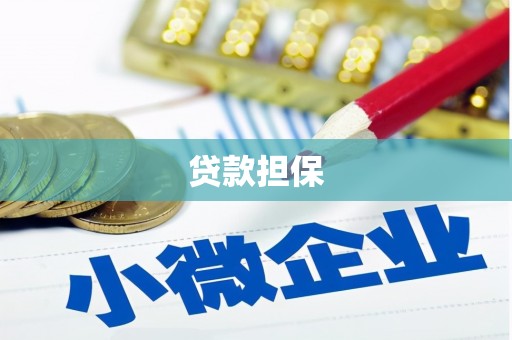 志丹贷款担保