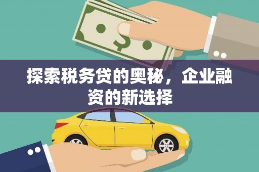 志丹探索税务贷的奥秘，企业融资的新选择