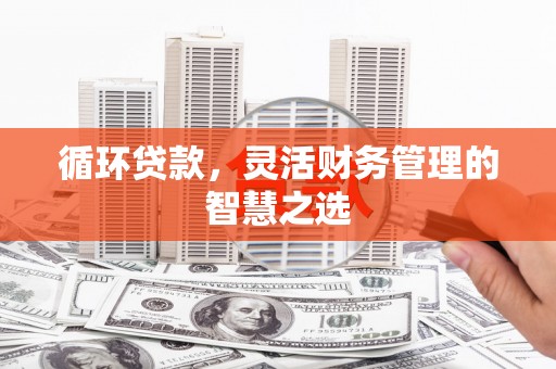 志丹循环贷款，灵活财务管理的智慧之选