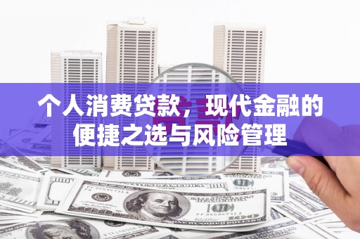 志丹个人消费贷款，现代金融的便捷之选与风险管理