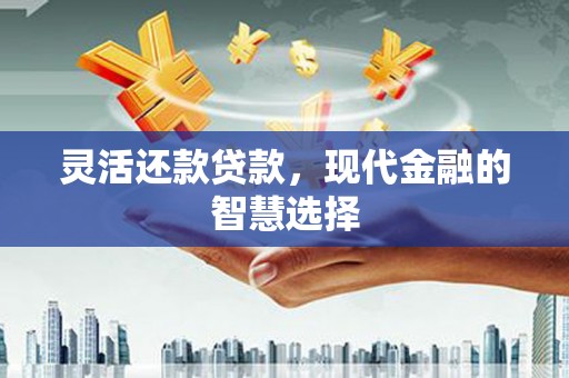 志丹灵活还款贷款，现代金融的智慧选择
