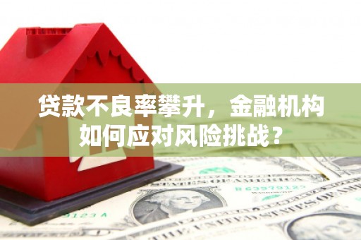 志丹贷款不良率攀升，金融机构如何应对风险挑战？