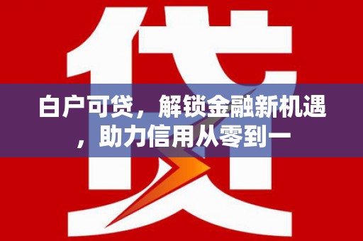 志丹白户可贷，解锁金融新机遇，助力信用从零到一