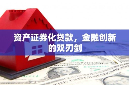 志丹资产证券化贷款，金融创新的双刃剑