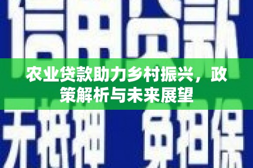 志丹农业贷款助力乡村振兴，政策解析与未来展望