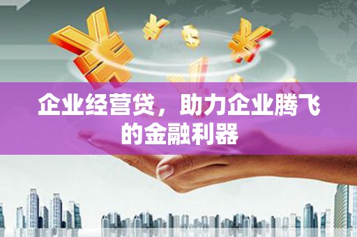 志丹企业经营贷，助力企业腾飞的金融利器