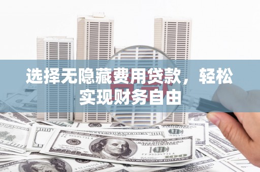 志丹选择无隐藏费用贷款，轻松实现财务自由