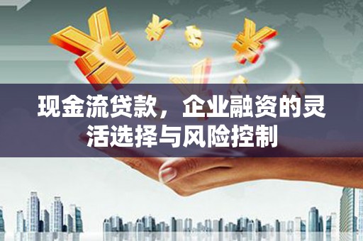 志丹现金流贷款，企业融资的灵活选择与风险控制