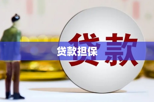志丹贷款担保