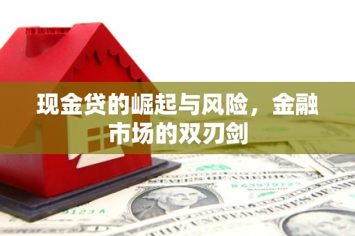 志丹现金贷的崛起与风险，金融市场的双刃剑