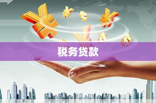 志丹税务贷款