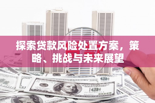 志丹探索贷款风险处置方案，策略、挑战与未来展望