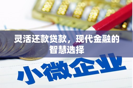 志丹灵活还款贷款，现代金融的智慧选择