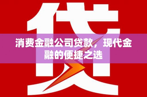 志丹消费金融公司贷款，现代金融的便捷之选