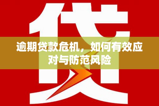 志丹逾期贷款危机，如何有效应对与防范风险