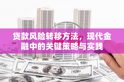 志丹贷款风险转移方法，现代金融中的关键策略与实践