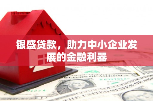 志丹银盛贷款，助力中小企业发展的金融利器