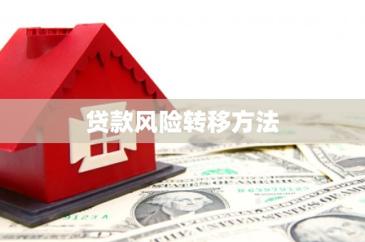 志丹贷款风险转移方法