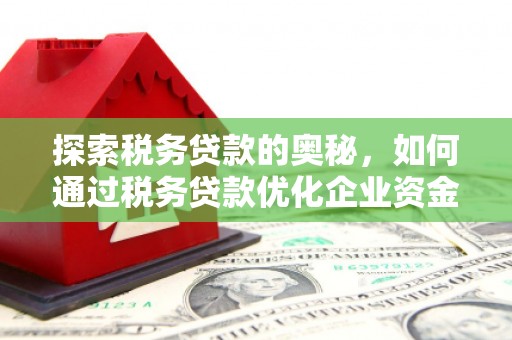 志丹探索税务贷款的奥秘，如何通过税务贷款优化企业资金流
