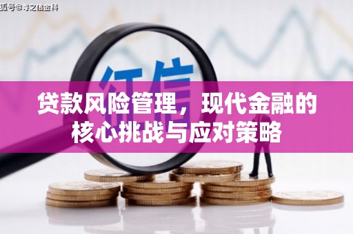 志丹贷款风险管理，现代金融的核心挑战与应对策略