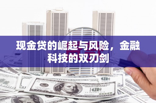 志丹现金贷的崛起与风险，金融科技的双刃剑