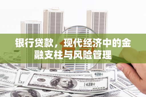 志丹银行贷款，现代经济中的金融支柱与风险管理