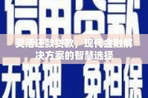 志丹灵活还款贷款，现代金融解决方案的智慧选择
