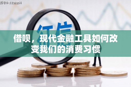 志丹借呗，现代金融工具如何改变我们的消费习惯