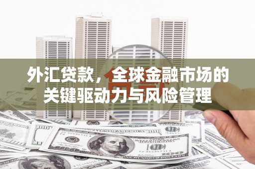 志丹外汇贷款，全球金融市场的关键驱动力与风险管理