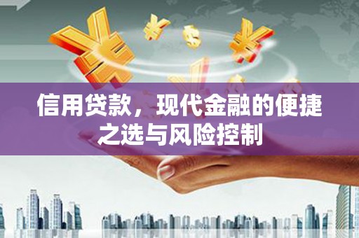 志丹信用贷款，现代金融的便捷之选与风险控制