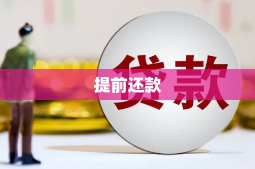 志丹提前还款