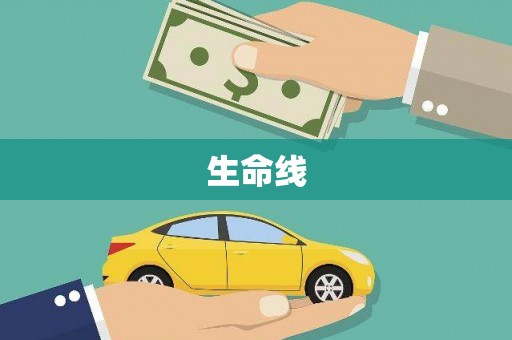 志丹生命线
