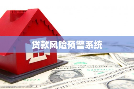 志丹贷款风险预警系统