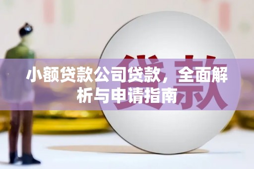 志丹小额贷款公司贷款，全面解析与申请指南