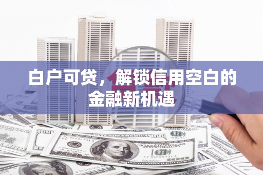 志丹白户可贷，解锁信用空白的金融新机遇