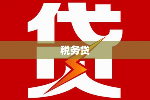 志丹税务贷