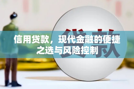 志丹信用贷款，现代金融的便捷之选与风险控制