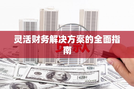 志丹灵活财务解决方案的全面指南
