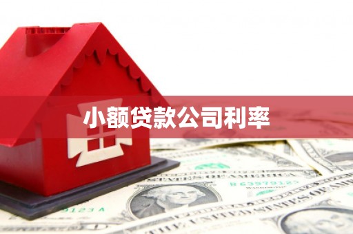 志丹小额贷款公司利率