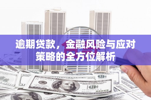 志丹逾期贷款，金融风险与应对策略的全方位解析