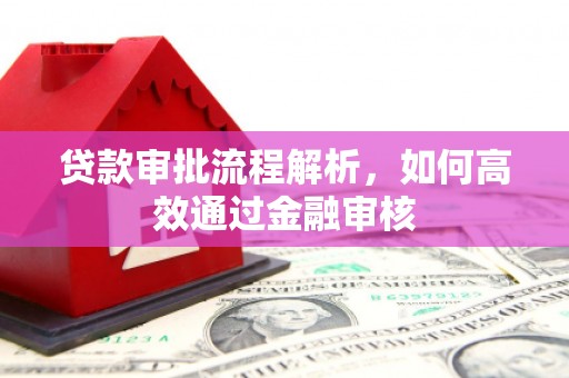 志丹贷款审批流程解析，如何高效通过金融审核