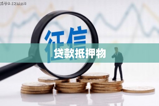 志丹贷款抵押物