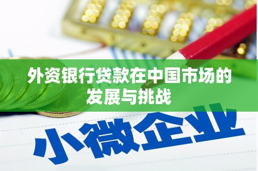 志丹外资银行贷款在中国市场的发展与挑战