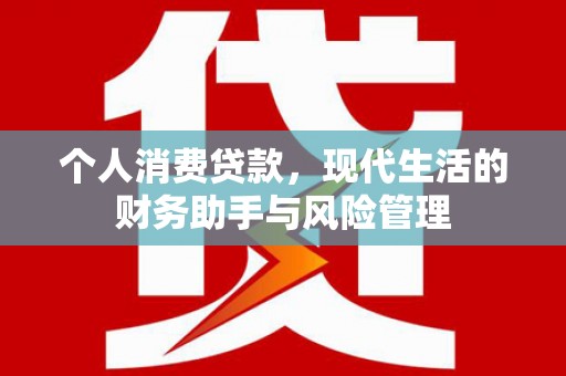 志丹个人消费贷款，现代生活的财务助手与风险管理