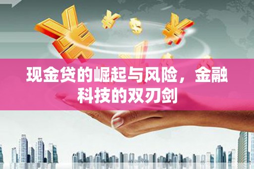 志丹现金贷的崛起与风险，金融科技的双刃剑